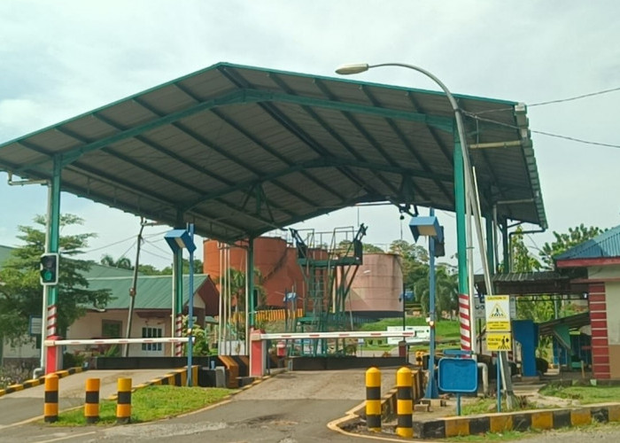   DPRD Seluma Pantau Proses PHK di PT AIP