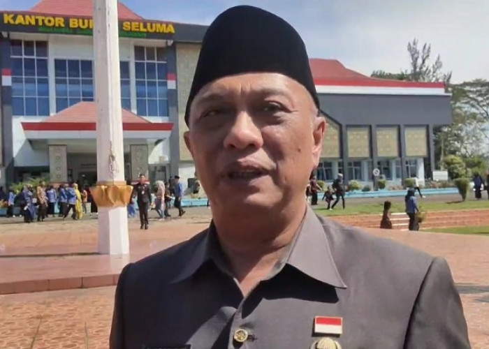 Lelang 10 Jabatan Pimpinan Tinggi Pratama, Februari 2026, Berikut Grafisnya