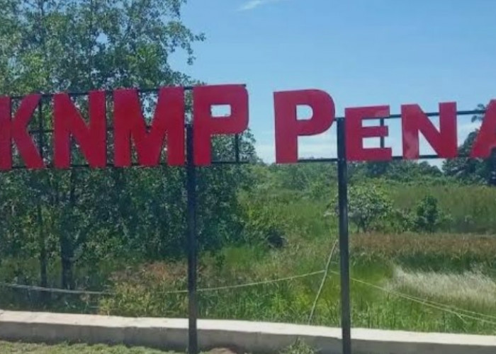 Pemanfaatan KNMP Penago I Belum Maksimal, Dinas Perikanan Seluma Segera Evaluasi Pengelolaan
