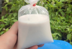 5 Bahan Pengganti Santan yang Cocok untuk Penderita Asam Lambung