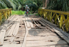 Sempat Terjadi Kecelakaan, Jembatan Rusak di Desa Talang Perapat Dibangun Swadaya
