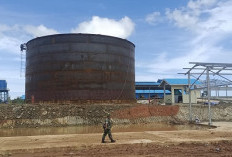 Kapasitas 200 Ton/Hari, Pabrik CPO Milik PT MSS di Sendawar, Diresmikan 