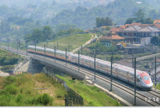 Penumpang Whoosh Terdampak Banjir Bisa Ubah Jadwal, Ini Caranya