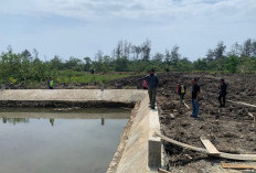 Proyek PPN Senilai Rp 16,2 Miliar di PHO