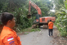 Cuaca Ektrem dan Musim Hujan, BPBD BS Minta Warga Waspada