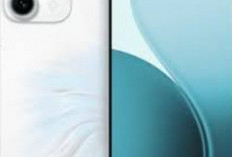 Hp Sultan Oppo Reno 14