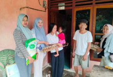 DPPKB-P3A BS Berikan Pakan Natura Bagi KRS, di Kecamatan Ulu Manna