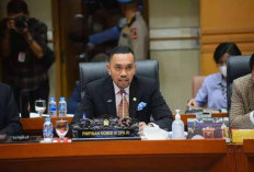 Nasdem Copot Sahroni dari Wakil Ketua Komisi III DPR Usai Kritik Demo