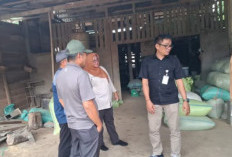 Bulog Siap Serap Gabah Petani di Bengkulu Selatan