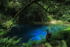 Telaga Biru Danau Kaco di Jambi