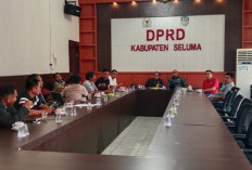 Kontraktor Tagih Hutang ke Pemda Seluma, Nofi Eriyan Andesca: Wajib Dibayar