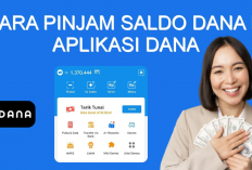 Cara Pinjam Saldo DANA Rp 250 Ribu Melalui Aplikasi DANA