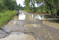 Masyarakat Dusun Baru Keluhan Jalan Provinsi, Tak Kunjung Diperbaiki