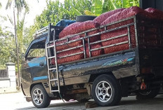  Diparkir di samping Rumah, Mobil Suzuki Futura Warga Talang Sali Seluma Raib Digasak Pencuri