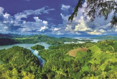 Kalimantan Utara: Gerbang Utara Nusantara di Ujung Borneo