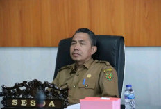 Harga Sembako Dapat Berfluktuasi Tergantung Kondisi Pasar dan Kebijakan Pemerintah