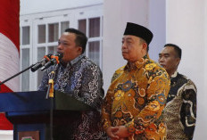 Nama Erwin Menguat di Pilkada, Berikut Lima Nama yang Berpeluang Dampingi Petahana 