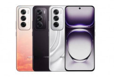 OPPO Reno12 5G 12 GB/256 GB – Varian Silver: Smartphone 5G dengan Layar Curved 120 Hz dan Kamera 50 MP