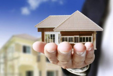 Strategi Bisnis Properti di Tahun 2025