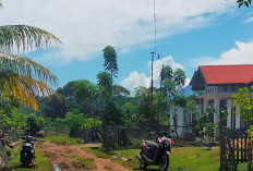 Jalan Berlumpur, Warga Pagar Dewa Kota Manna Minta Aspal