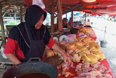 Tembus Rp 40 Ribu, Harga Ayam Potong Bersih Per Kg