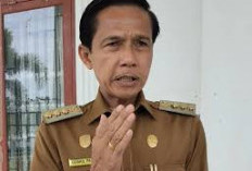 Jangan Lewatkan, Tanggal 22 Festival Gurita di Kaur, HUT Kaur ke 23
