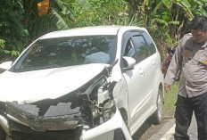 Pecah Ban, Mobil Tabrak Pelapis Tebing 