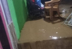50 Rumah di Desa Talang Tinggi Terendam Banjir, Akibat Luapan Sungai Kungkai