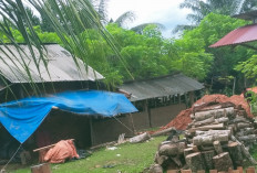 Harga Kayu Bakar Bata Merah Melonjak, Pengusaha Bata Merah Mengeluh