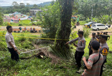 Tersengat Listrik Saat Panen Sawit, Buruh Tani di Seluma Meninggal Dunia