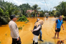 Banjir Hingga Tanah Longsor Landa Kabupaten Seluma, 4 Desa Terdampak, 425 Rumah Terendam