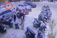 Beruang Madu Masuk Pusat Kota Tais, Pecahkan Kaca Kantor Notaris dan Picu Kepanikan