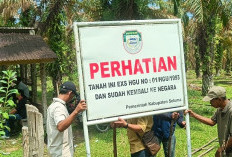 Kades Jenggalu Seluma Sebut, 59 Orang Kuasai Lahan Eks HGU Sabudin Secara Ilegal