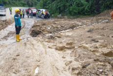 Jalan Lintas Manna-Pagar Alam Longsor, Lalu-Lintas di Ulu Manna Sempat Terganggu