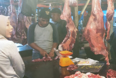 Rp 150 ribu Harga Daging 