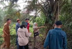 Selain Petakan Kawasan Hutan, BPKH-TL XX Bandar Lampung Juga Petakan Kawasan Cagar Alam di Seluma