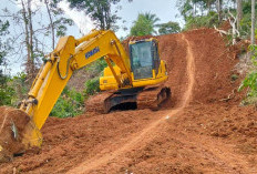   Sudah Diperingati BKSDA Bengkulu, Oknum Kades Tetap Buka Kawasan Konservasi Taman Buru