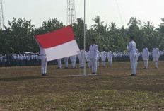 Kecamatan SAM Upacara HUT ke-79 RI, Camat Inspektur Upacara