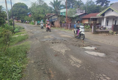 Sudah 10 Tahun Lebih, Warga Sidoluhur Keluhkan Kondisi Akses Jalan, Berlubang dan Tergenang Air