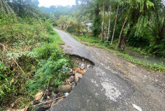 Jalan Amblas, Akses ke Ulu Talo Terancam Putus