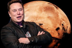 Ambisi Elon Musk Ingin Bawa 1 Juta Manusia ke Mars