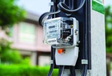 Pemerintah Batalkan Diskon Tarif Listrik Juni-Juli 2025, Alihkan ke Bantuan Subsidi Upah 