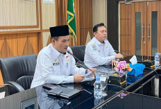  Besok, Menko Pangan Kunjungi Bengkulu, Tinjau Ketahanan Pangan