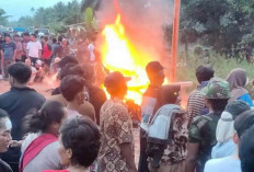 Rumah Bandar Narkoba di Rohil Diserang Warga, Dirusak dan Dibakar