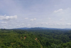 Desa Penyangga Sambut Baik Tambang Emas, Harap Tidak Hanya Jadi Penonton