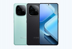 iQOO Z9 5G: Performa Tangguh dengan Snapdragon 7 Gen 3 dan Layar AMOLED 120Hz