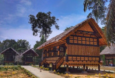 Jelajah Kota Langsa: 7 Destinasi Wisata Paling Populer yang Bikin Liburanmu Berkesan!