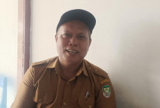 Pemdes Maras Jauh, Budidaya Ikan Lele Lewat BUMDes