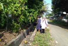 Waspada Penyebaran Penyakit DBD, Sekda Minta Peduli Bersih Lingkungan