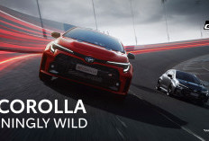 Toyota GR Corolla: Hot Hatch Gazoo Racing dengan Performa Luar Biasa